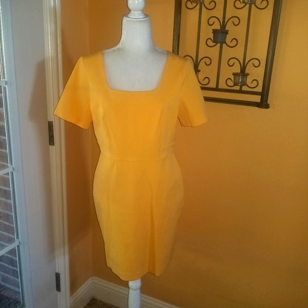 Ann Taylor Dress